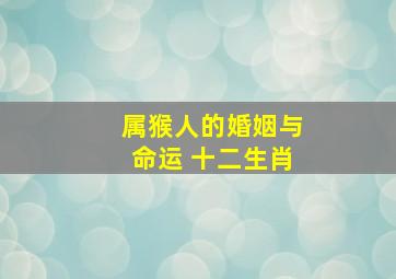 属猴人的婚姻与命运 十二生肖